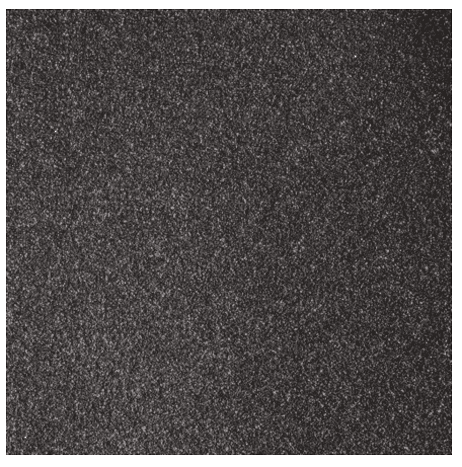 ROLLO LIJA JESSUP ULTRAGRIP BLACK 9X60