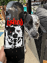 RE ISHOD VICIOUS TWIN 8.5