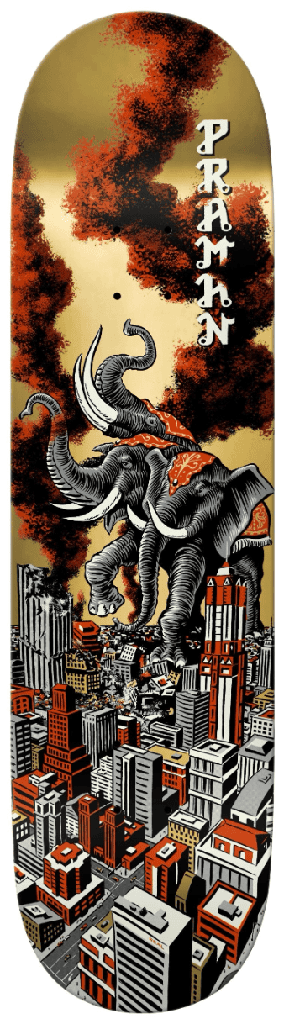 RE PRAMAN RAMPAGE LTD 8.38