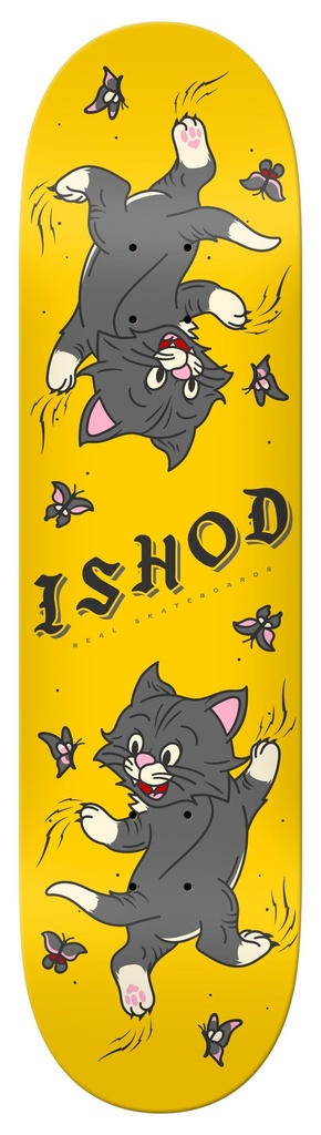 RE ISHOD KITTEN TWIN 8