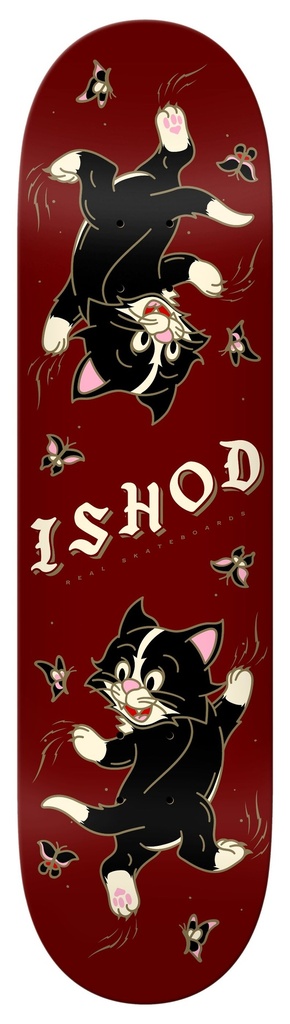 RE ISHOD KITTEN TWIN 8.25